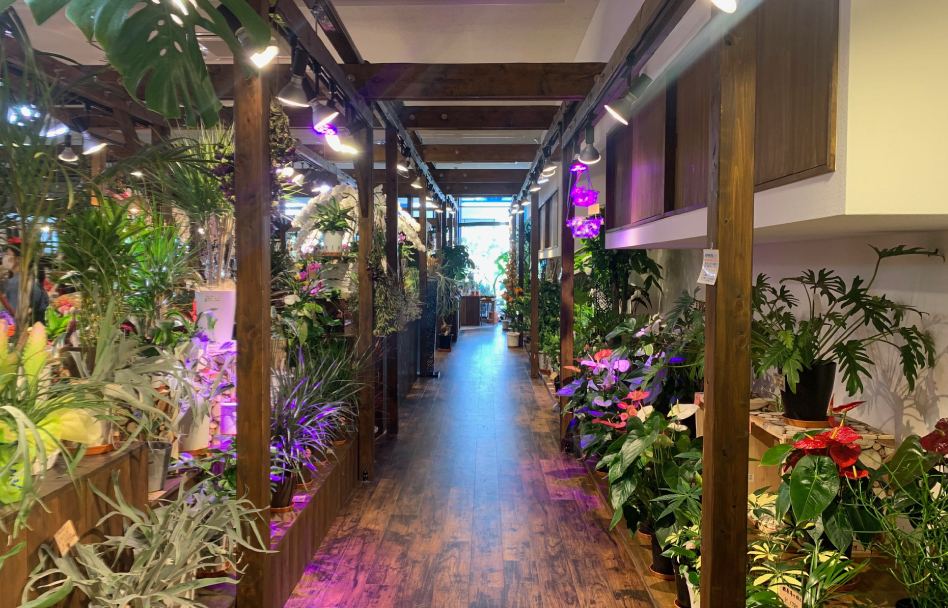 花びぜんWHALE青葉町店(NEXT WHALE 青葉町内)